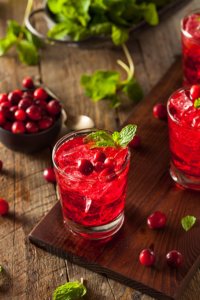Rezept Terpentin Cranberry-Chili-Likör mit Wild Berry